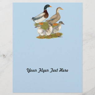Saxony Duck Family Flyer