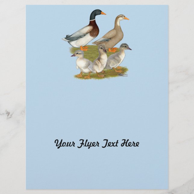 Saxony Duck Family Flyer (Vorne)