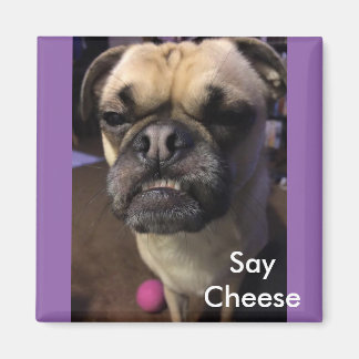 Say Cheese Magnet