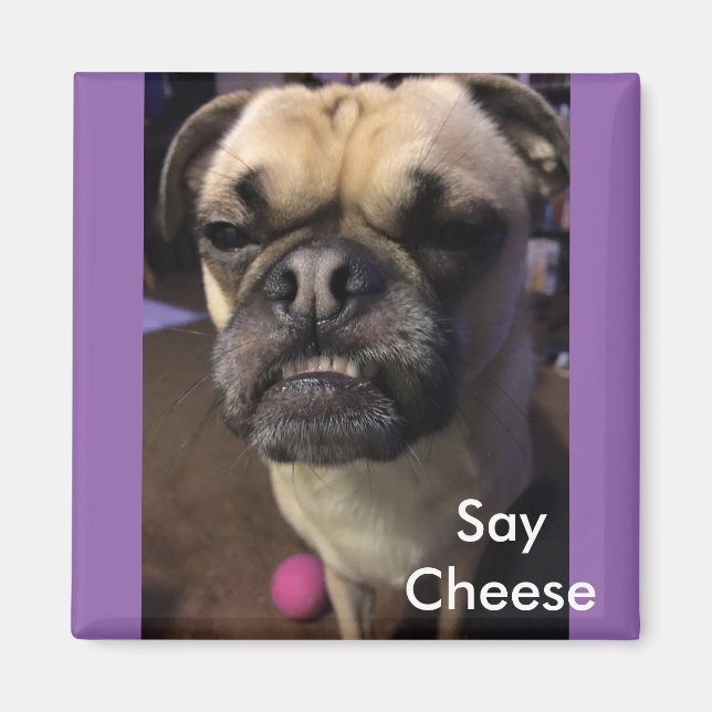 Say Cheese Magnet (Vorne)