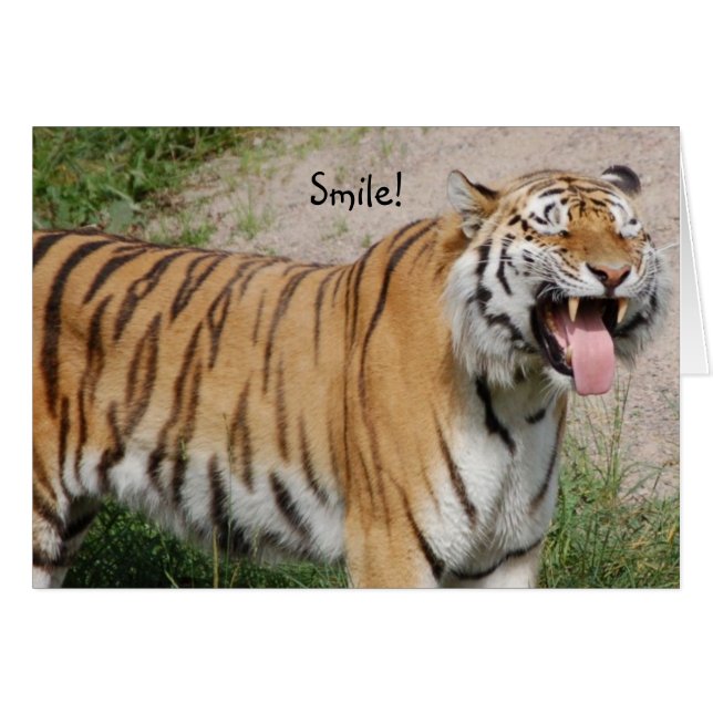Say Cheese Tiger Card (Vorderseite (Horizontal))
