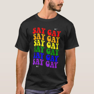 Say Gay Lgbtq Pride Flag Ally Rainbow Flag T-Shirt