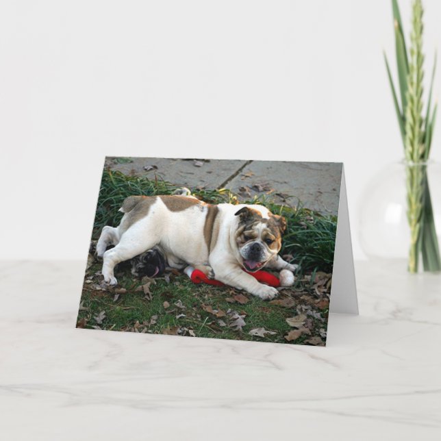 Say Mercy! Karte (Vorderseite)