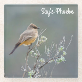 Say-Phoebe Glasuntersetzer