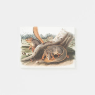 Say Squirrel Girl Boy Pet Giftssquirrel Feeder Post-it Klebezettel