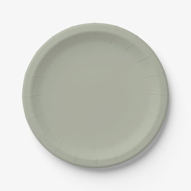 Saybrook Sage Solid Color Pappteller (Vorderseite)