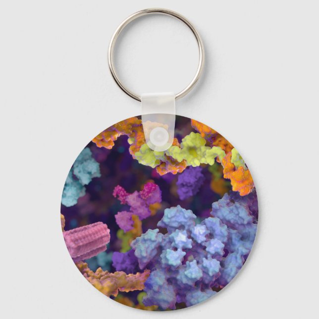 SB-Schlüsselanhänger Schlüsselanhänger (Vorderseite)