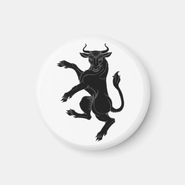 SCA Cluain Magnet (Vorne)