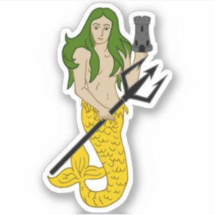 SCA Illiton Custom-Cut Vinyl Sticker