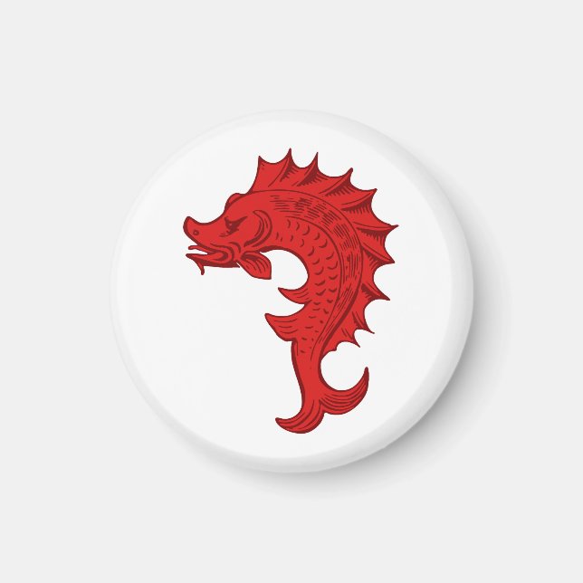 SCA Tir-y-Don Magnet (Vorne)
