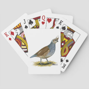 Scaled Quail Spielkarten