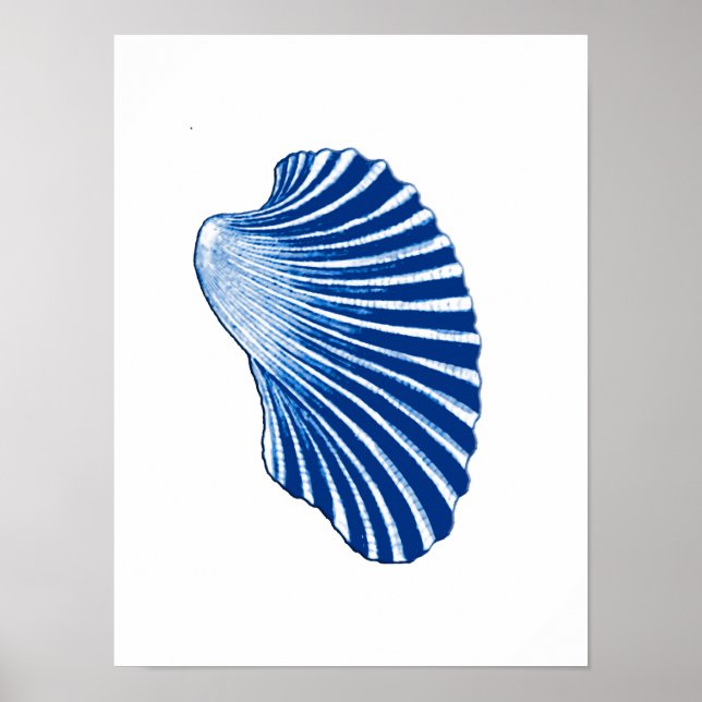 Scallop-Muschel, Indigo Blau und Weiß Poster (Vorne)
