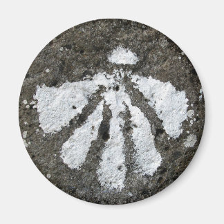 Scallop Muschel Magnet