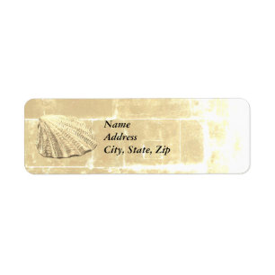 Scallop Seashell auf Sand