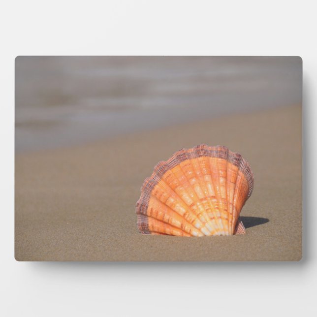 Scallop Shell | Crete, Greece Fotoplatte (Vorderseite)
