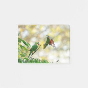 Scaly geröstet und Regenbogen Lorikeet. Post-it Klebezettel