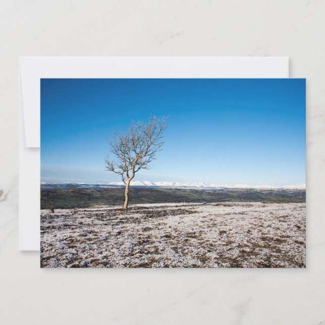 Scanner Holiday Card Feiertagskarte (Vorderseite)