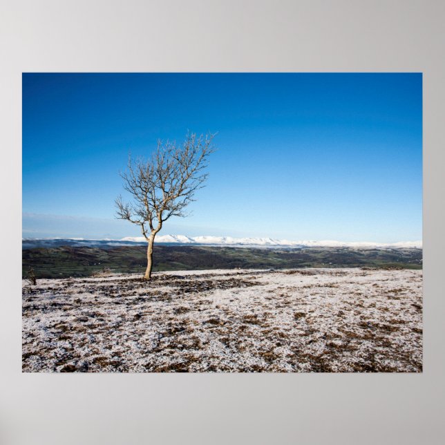 Scanner Holiday Card Poster (Vorne)