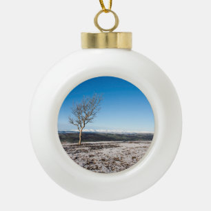 Scanner Holiday Card Poster Foto Blockschnee Gl Keramik Kugel-Ornament