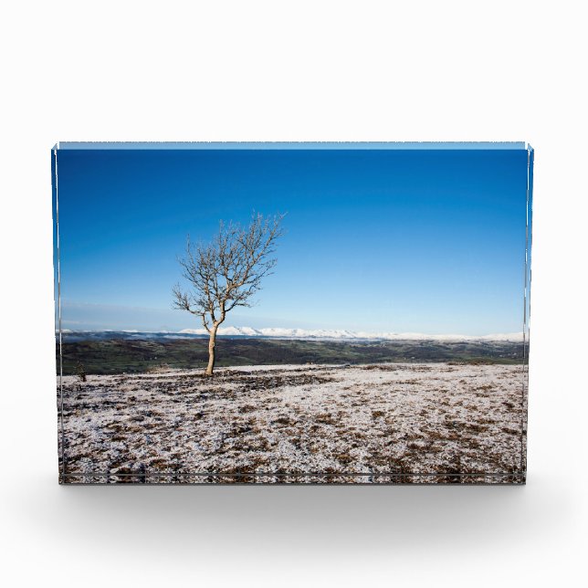 Scanner Holiday Card Poster Fotoblock (Vorderseite)