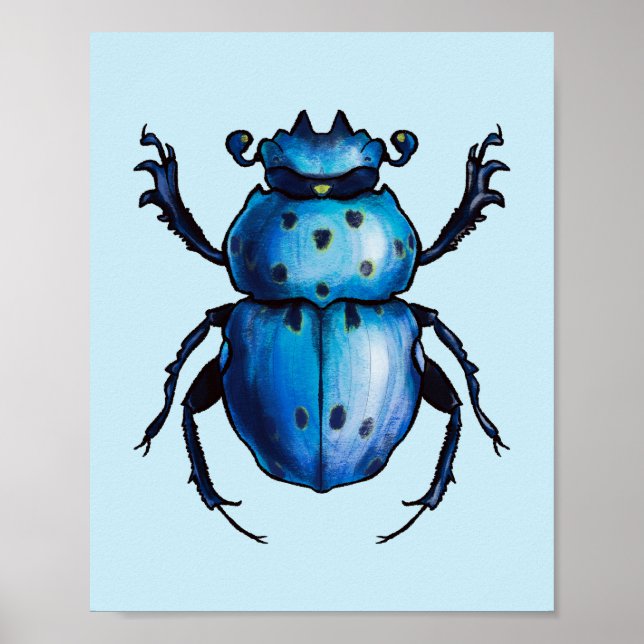 Scarab Käfer Art Blue Entomology Insekt Poster (Vorne)