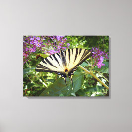 Scarce Frack Butterfly Canvas Print Leinwanddruck