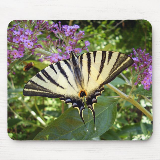Scarce Frack Butterfly Mouse Mat Mousepad (Vorne)