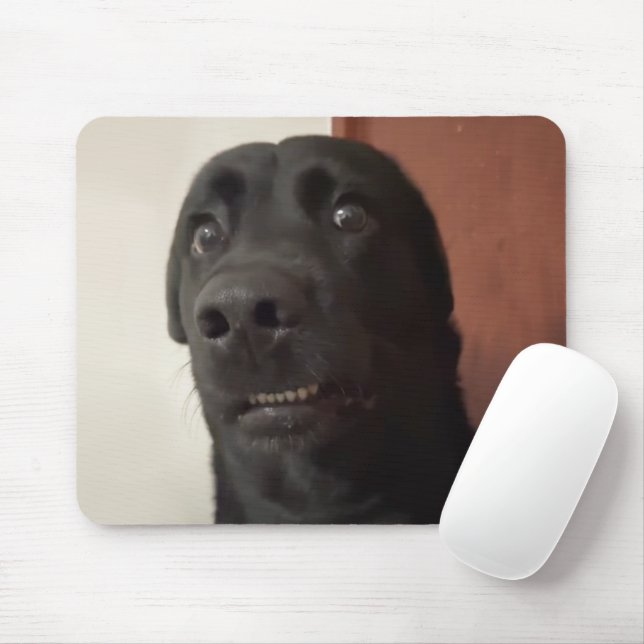Scared Dog Meme Mouse Pad Mousepad (Mit Mouse)