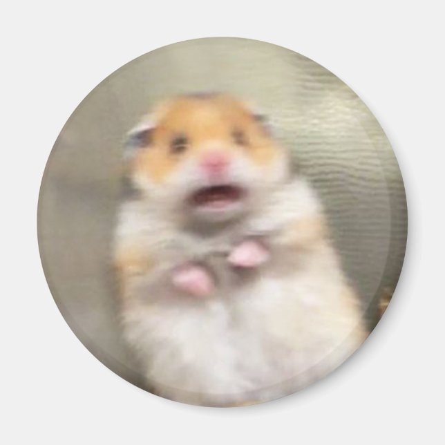 Scared Hamster Meme Magnet (Vorne)