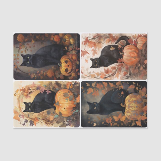 Scaredy Cat Seidenpapier (Vorderseite)