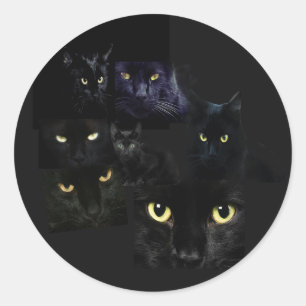 Scaredy Katzen-Aufkleber Runder Aufkleber