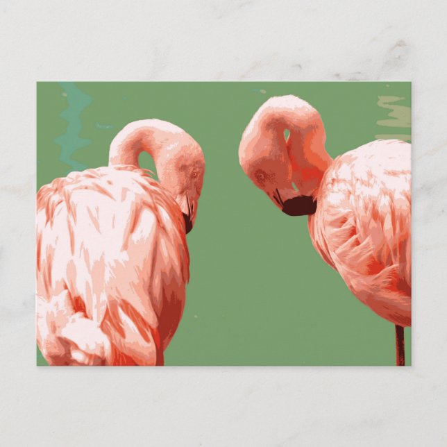 Scarlet Flamingo Postkarte (Vorderseite)