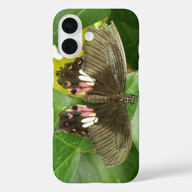 Scarlet Frack Butterfly iPhone Case (Rückseite)