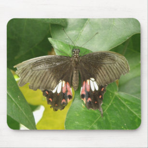 Scarlet Frack Butterfly Mousepad