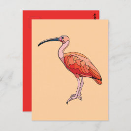 Scarlet Ibis Bird Postkarte