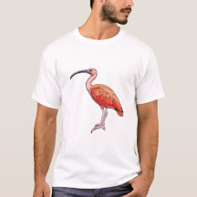 Scarlet Ibis Bird
