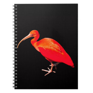 Scarlet Ibis Notizblock