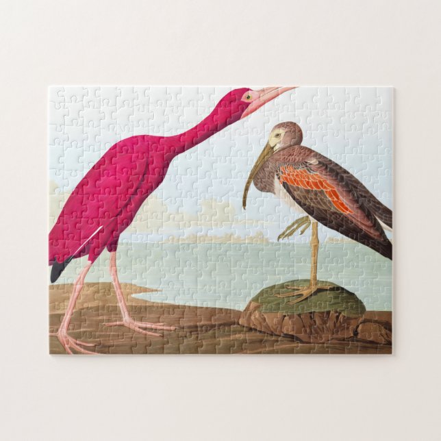 Scarlet ibis von John James Audubon Puzzle (Horizontal)