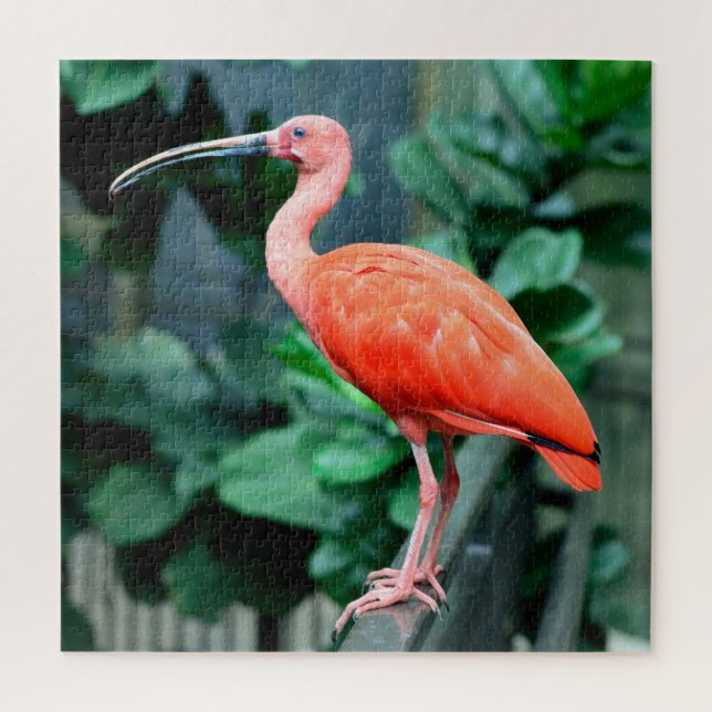 Scarlet Jigsaw Puzzle (Vertikal)