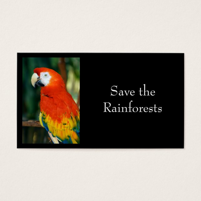 Scarlet Macaw (Vorderseite)