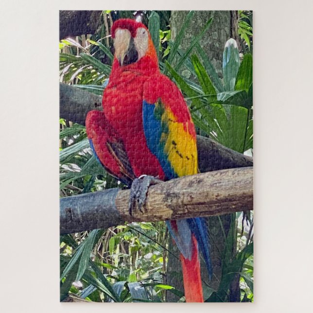 Scarlet Macaw Costa Rica Jigsaw Puzzle (Vertikal)