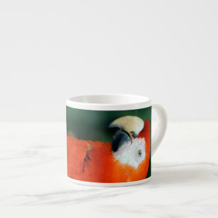 Scarlet Macaw Espressotasse