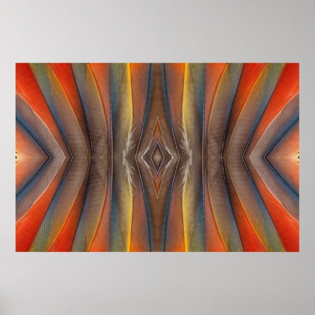 Scarlet Macaw feather design Poster (Vorne)