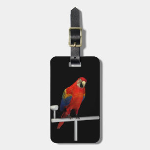 Scarlet Macaw Gepäckanhänger