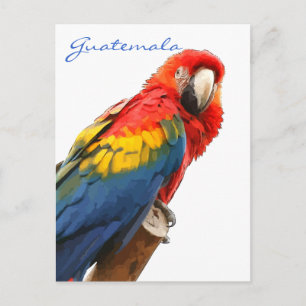 Scarlet Macaw Guatemala Postkarte