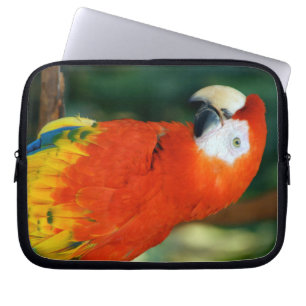 Scarlet Macaw Laptopschutzhülle