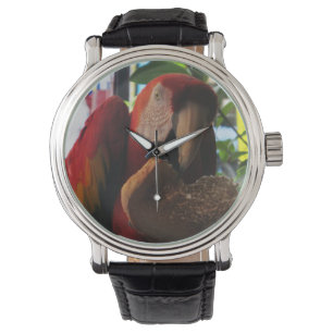 Scarlet Macaw Papagei Eating Toast Armbanduhr