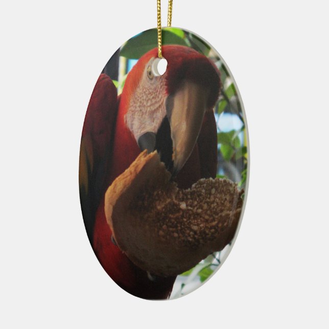 Scarlet Macaw Parrot Eating Toast Keramik Ornament (Links)