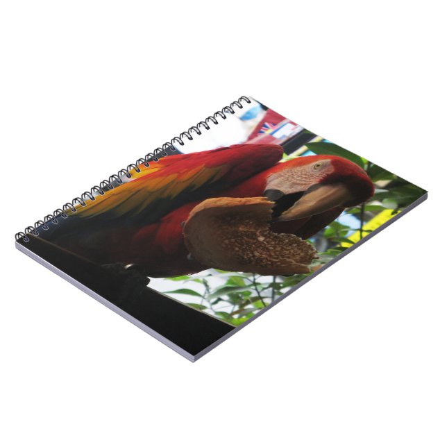 Scarlet Macaw Parrot Eating Toast Notizblock (Linke Seite)