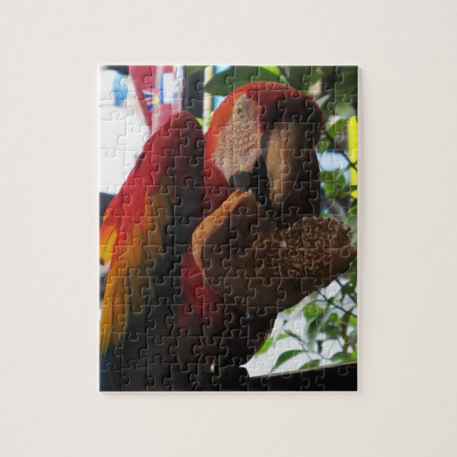 Scarlet Macaw Parrot Eating Toast Puzzle (Vertikal)